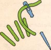 image38.jpeg