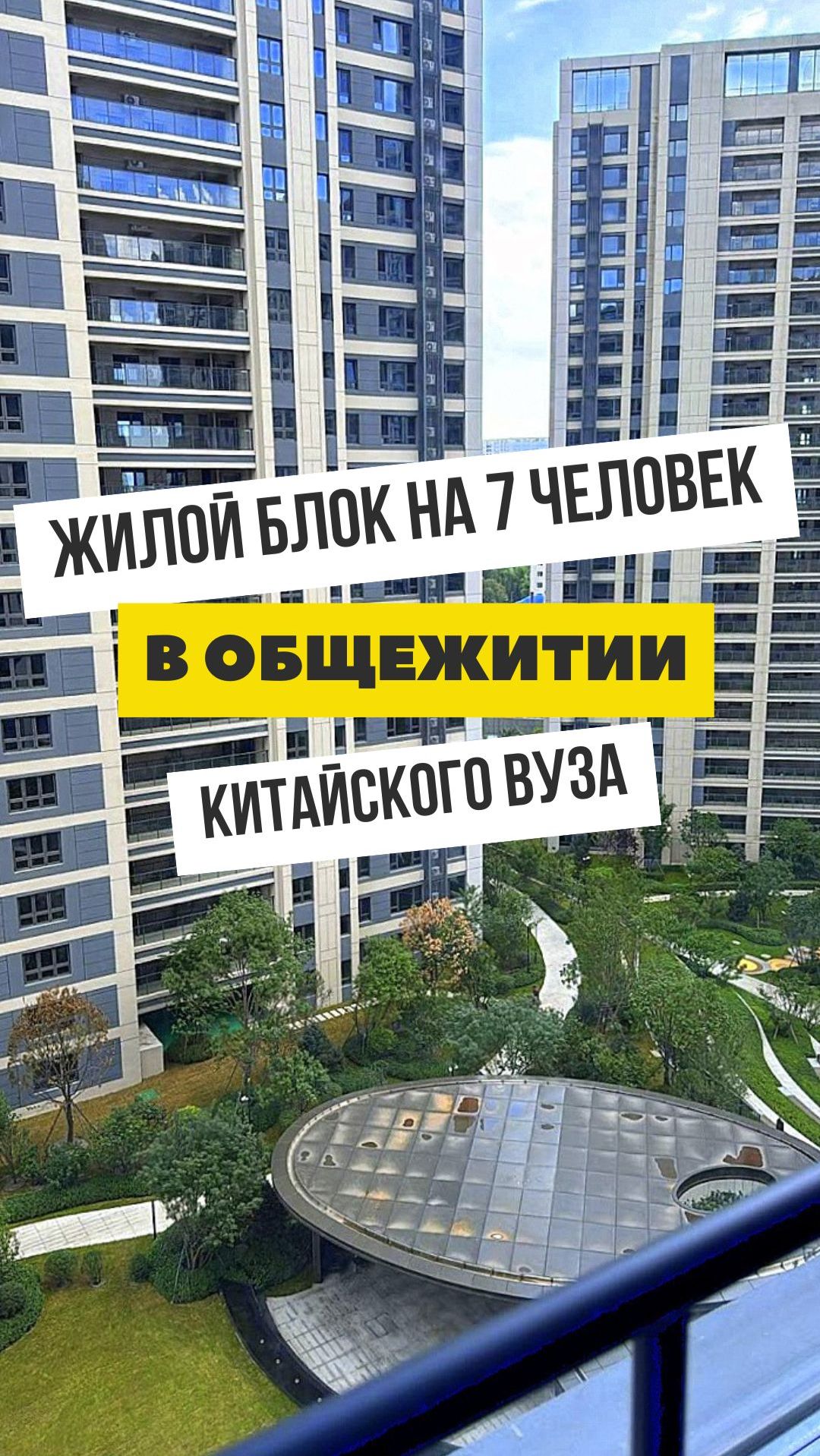 tg_33_0.jpg