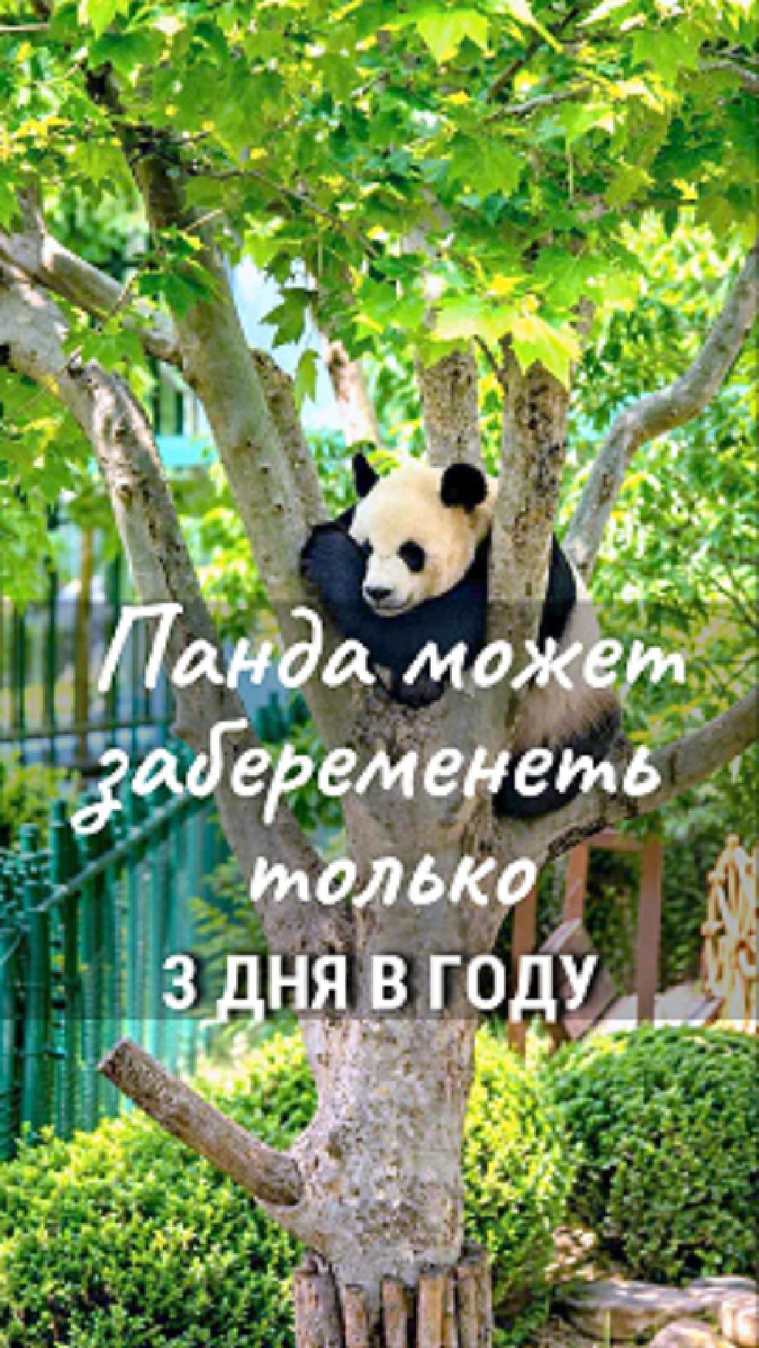 tg_48_0.jpg