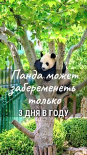 tg_48_1.jpg