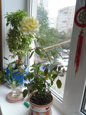 SAM_0765.JPG